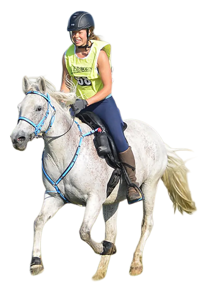 sophie riding